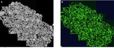 Mineralisation of CO2 in wood biomass ash for cement substitution in construction products